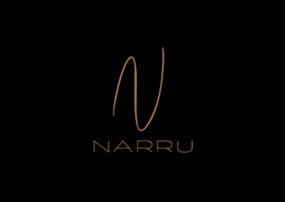 Narru - Smart Growth Marketing Agency - Complete Smart Marketing Services: Branding, Web Design, Graphic Design, Soft & Custom App Dev, Strategy, Email & SMS Marketing, Content Marketing, Paid Media, Market Opportunities, Accelerated Growth Cluj Napoca, Baia Mare, Romania.